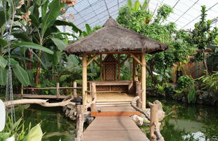 Vlindertuin Vlindorado