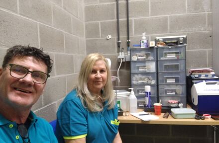 Eerste Hulp op Uw Evenement: Vertrouw op First Aid Vlaanderen - Foto 1