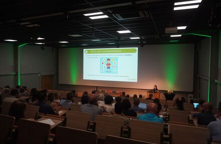 Primoris @Qubiz - Foto 1