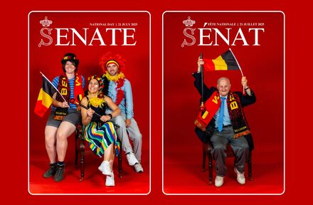 Majestueuze coverfoto tijdens Nationale Feestdag in de Senaat - Foto 1
