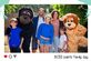 Beestige merkactivatie BOSS Paints in Zoo Planckendael - Foto 6
