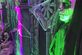 Halloween staat opnieuw voor de deur - Foto 14